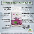 Aushadh Gotukola Capsules (Centella) Memory & Skin Support - Vegan, Gluten Free, Non-GMO, 60 Capsules